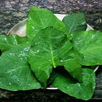Alu Patra