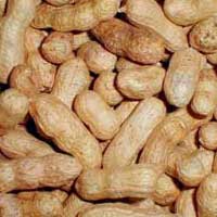 Groundnuts